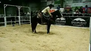 Red Bluff Horse Sale,  Red Bluff, CA