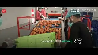 محصول سعودي بالجود زاهي وبالخير راهي #dava