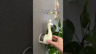 The lamp that will change your whole home 🦚✨ #lamp #light #ledlights #roomdecor #lighting