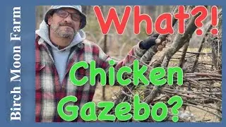 Chicken Gazebo | Chicken Coop Build | Birch Moon Farm, A Simple Living Homestead