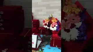 Ambani's Wedding (Polished Version) 🔥 North South University