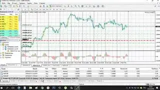 Обзор реального счета инвестора Magnus Capital Center