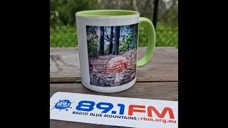 STILKIN Interview - Radio Blue Mountains - 6 Mar 2025