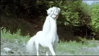Nico The Unicorn: Nico's Mother vs Cougar(Resounded)