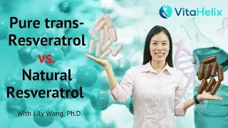 Pure trans-Resveratrol vs. Natural Resveratrol - Which One is Better? | Lily Wang, Ph.D. | VitaHelix