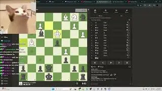 Gabriel_3x played Chess for the first time in years...