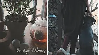 Slow Living | February in the Mountains