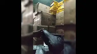 safety shoes heavy duty