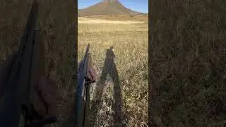 New MP155 hunting