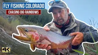 FLY FISHING COLORADO ... Chasing Big Rainbows (a 4k fly fishing video)