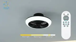 XD238 Modern Style Ceiling Fan with Light