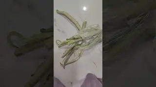 #song #music #love #vegetables #framing