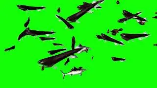 NiteMare Creatures of The Deep Ocean Green Screen Clips