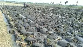 proses penyingkalan lahan tahap1