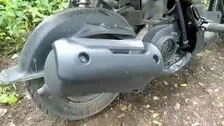 Honda Navi Exhaust Sound