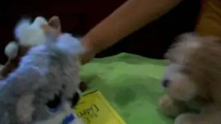 Webkinz Visits Epets World