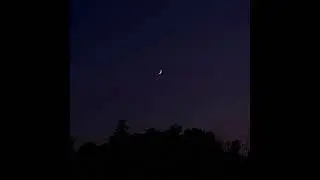 윤진욱 - 노스텔지아