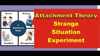Attachment Theory - Strange Situation Experiment