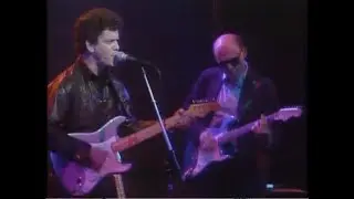 A NIGHT WITH LOU REED/ LIVE 1983 BOTTOMLINE. 
