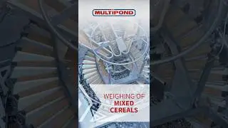 Weighing of cereals for yoghurt Cups | #multiheadweigher