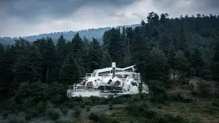 Tree Of Life EILA, Naggar