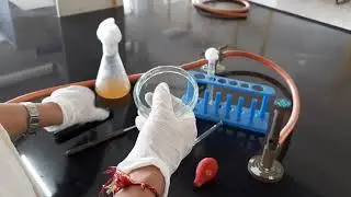 Spread plate Technique