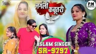 SR9797 Aslam Singer New Mewati song 🥀 New Mewati Gana Trinding Aslam Singer Zamidar 9797 Neya Gana)
