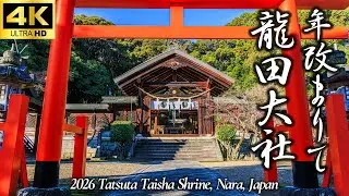 【年改まりて 龍田大社 2026】真新しいしめ縄と神域の特別情景｜本殿前に広がる聖なる風景｜風の神が導く2026年の始まり｜奈良観光｜Nara Japan｜4K高画質