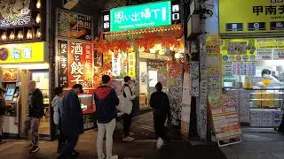 [4K/Stereo] Nov. 5, 2024: Shinjuku Walk &ndash; Omoide Yokocho to Docomo Tower (新宿散策 &ndash; 思い出横丁からドコモタワーへ)