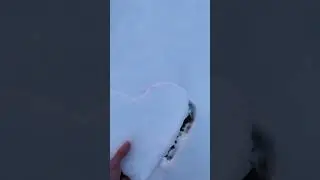 Love in the Snow: A Winter Romance