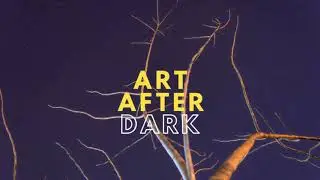 Art After Dark TV
