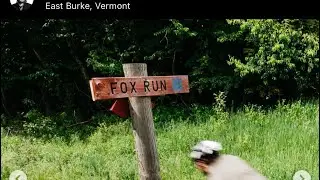 KT - May 30, 2025 - Hugh and the maniacs on fox run and meadow wood