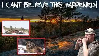 THIS will make you think twice before entering the woods