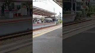 Jalur 4 Tujuan Bogor, Jalur 1  tujuan Manggarai #krl #stasiunkrl #shorts