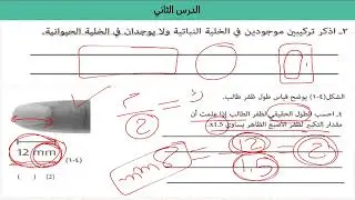 المراجعة النهائية (الاختبار النهائي) _ الوحدة الاولى_ الصف التاسع