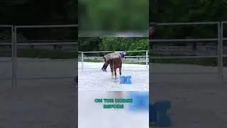 First time mounting a young horse #younghorse #coltstarting #horsetraining #horseriding