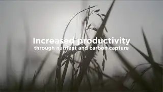 Using by-products to increase yields and sequester carbon | Circular food systems in East Africa 5/5