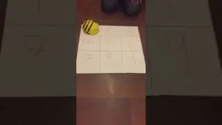 Bee bot programming error