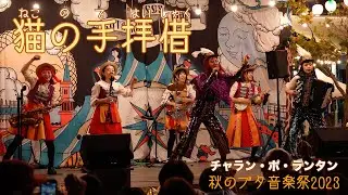 猫の手拝借（ねこのてはいしゃく） / チャラン・ポ・ランタン 秋のブタ音楽祭2023 [4K]