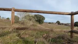 DJI NEO LAS ABEJAS 