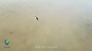 Lac Sidi Kh&eacute;lifa - Bouficha