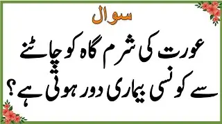 Islamic Question and Answer in Urdu | Islami Sawal Jawab | Urdu Quiz 2025 | Bm Urdu Quiz 