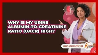 Why Is My Urine Albumin-to-Creatinine Ratio (UACR) High? - Kidney Cancer Support Hub