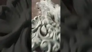 The lion wall decor idea #shorts #youtubeshorts