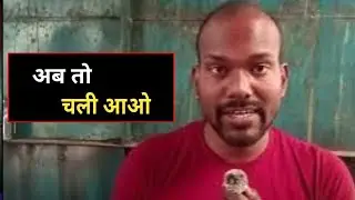 अब तो चली आओ || Nitish Poetic Universe || Hindi Poetry | NPU | Urdu poetry 