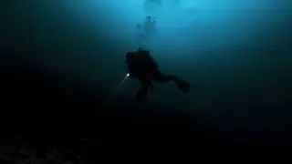 NIGHT DIVE | SCUBA DIVING