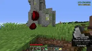 Minecraft 1.15 RSG in 22:29 (PB)