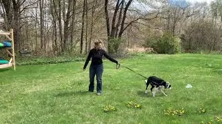 Circle Method: Orion (full session)