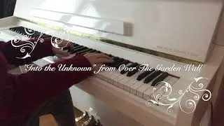 Into the Unknown - OTGW