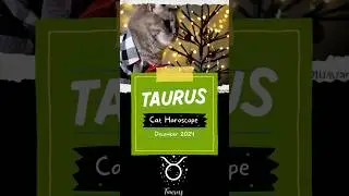 Taurus Cat horoscope, December 2024 #MasqueradingPets ￼
